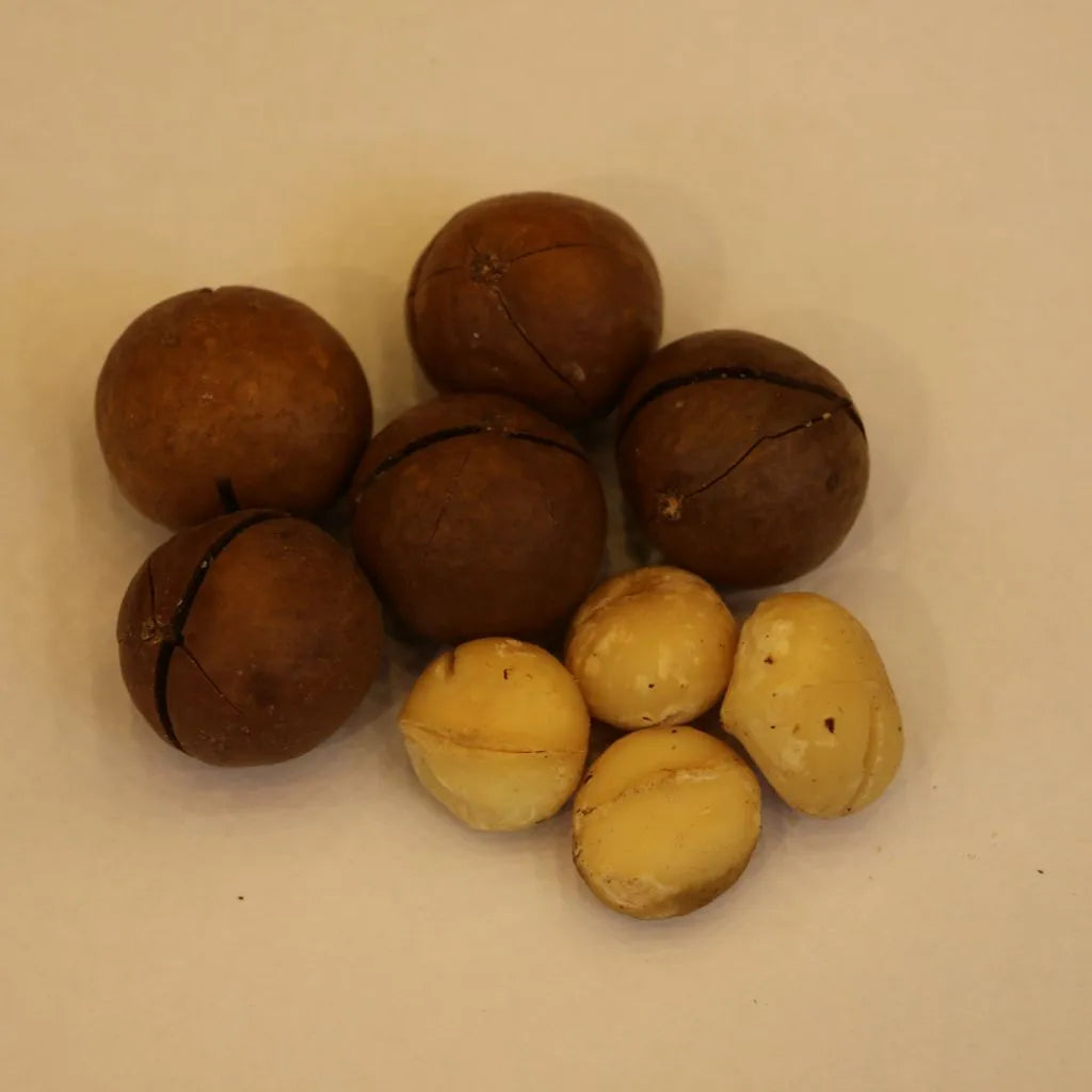 Macadamia Nuts (chabi wala akhrot)