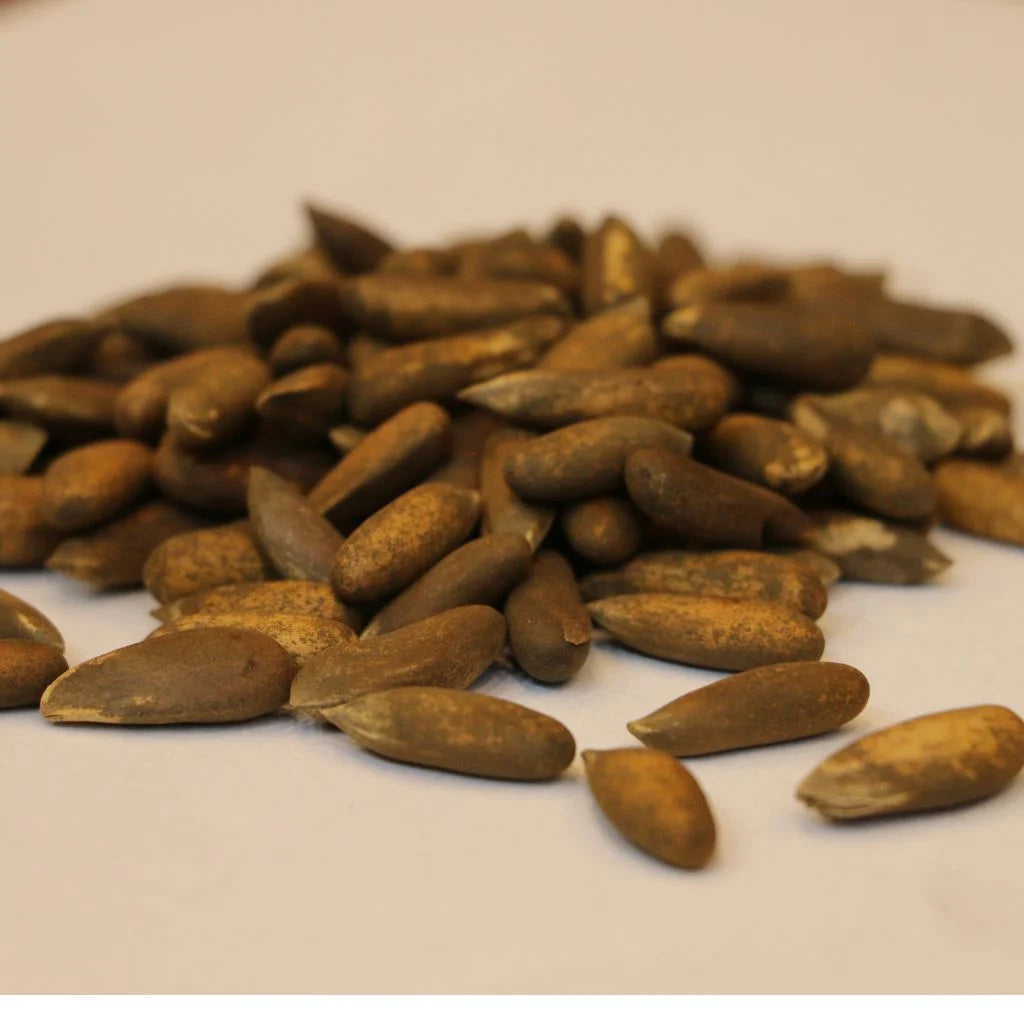 Chilgoza Sabat Black (Pine Nuts)
