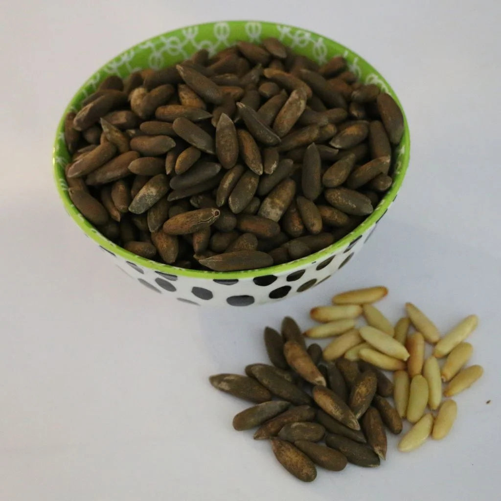 Chilgoza Sabat Black (Pine Nuts)