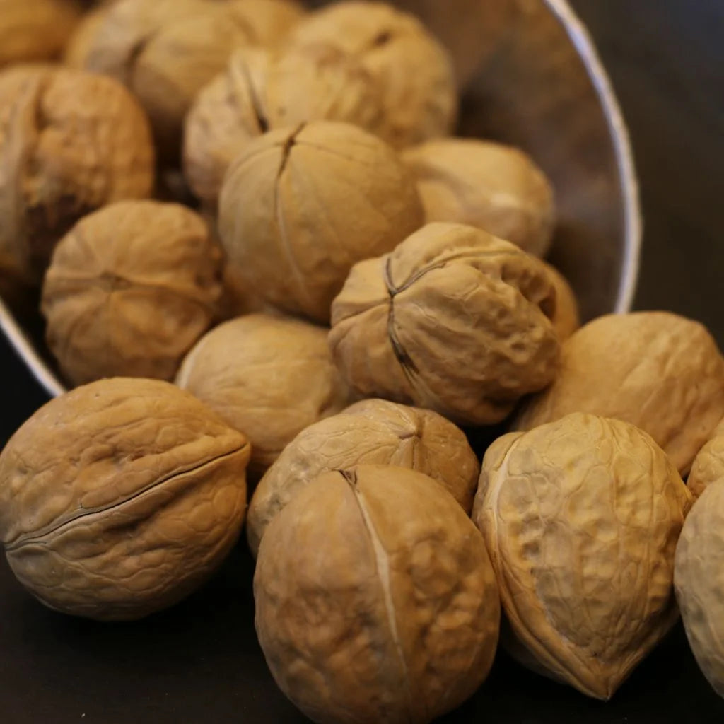 China Akhrot (walnuts)