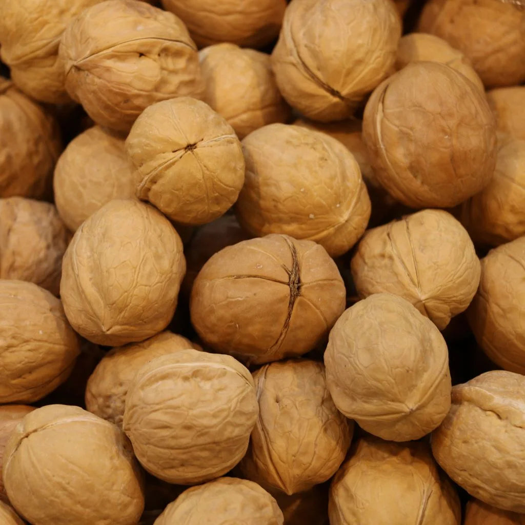 China Akhrot (walnuts)
