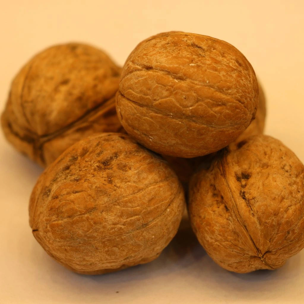 Kashmiri Akhrot Sabat