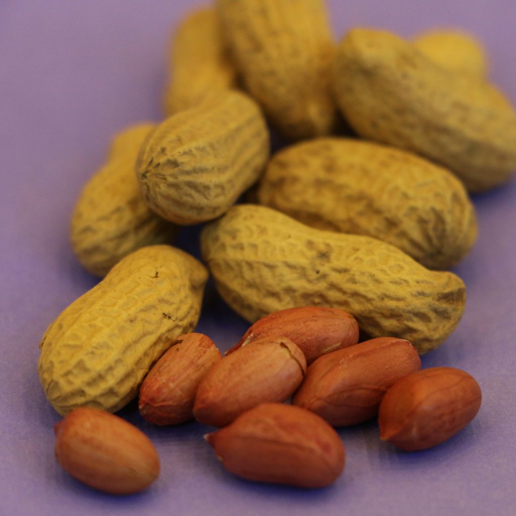 Parachinar Mongpali (peanuts)