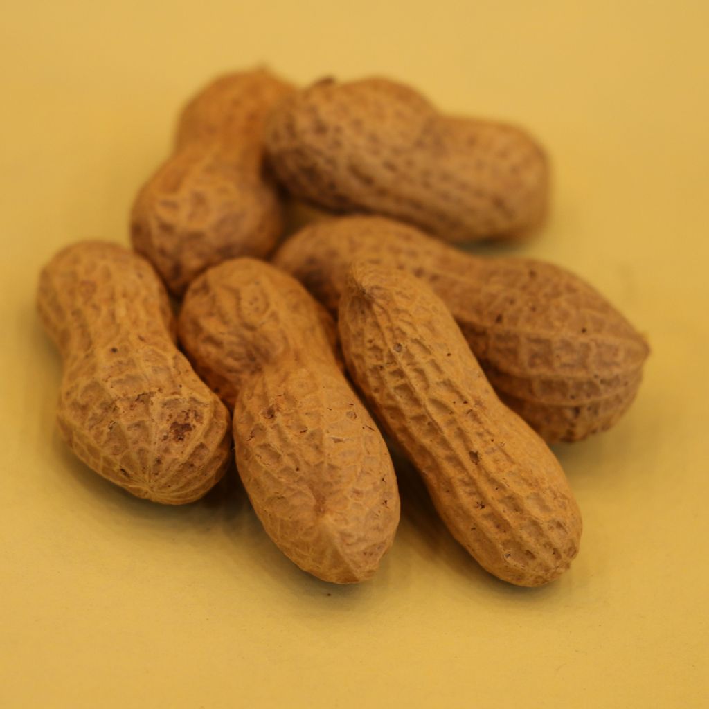 Parachinar Mongpali (peanuts)