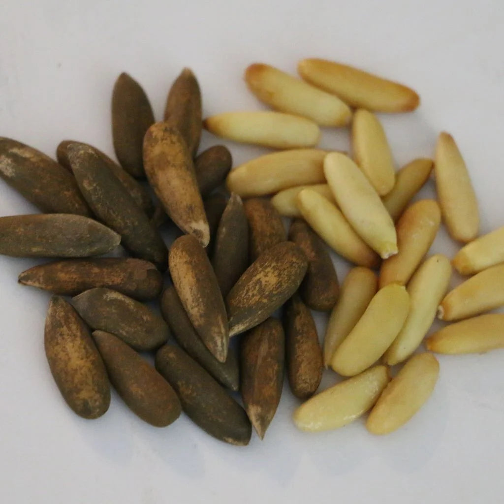 Chilgoza Sabat Black (Pine Nuts)