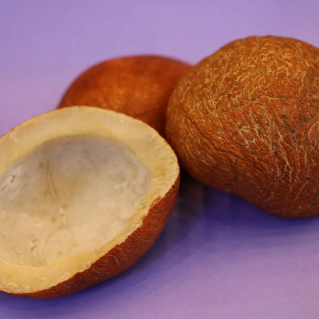 Coconut sabat (Nariyal)