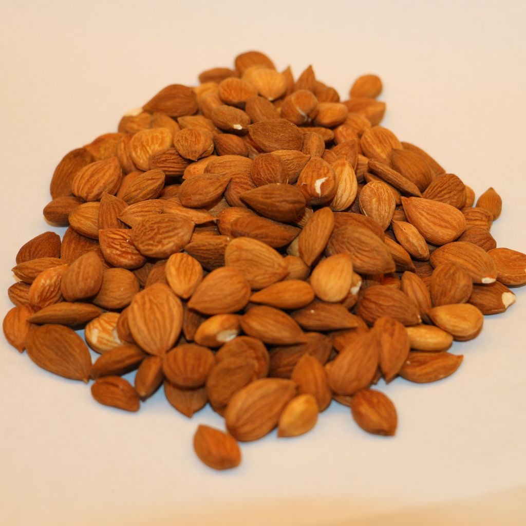 khobani giri (Apricots)
