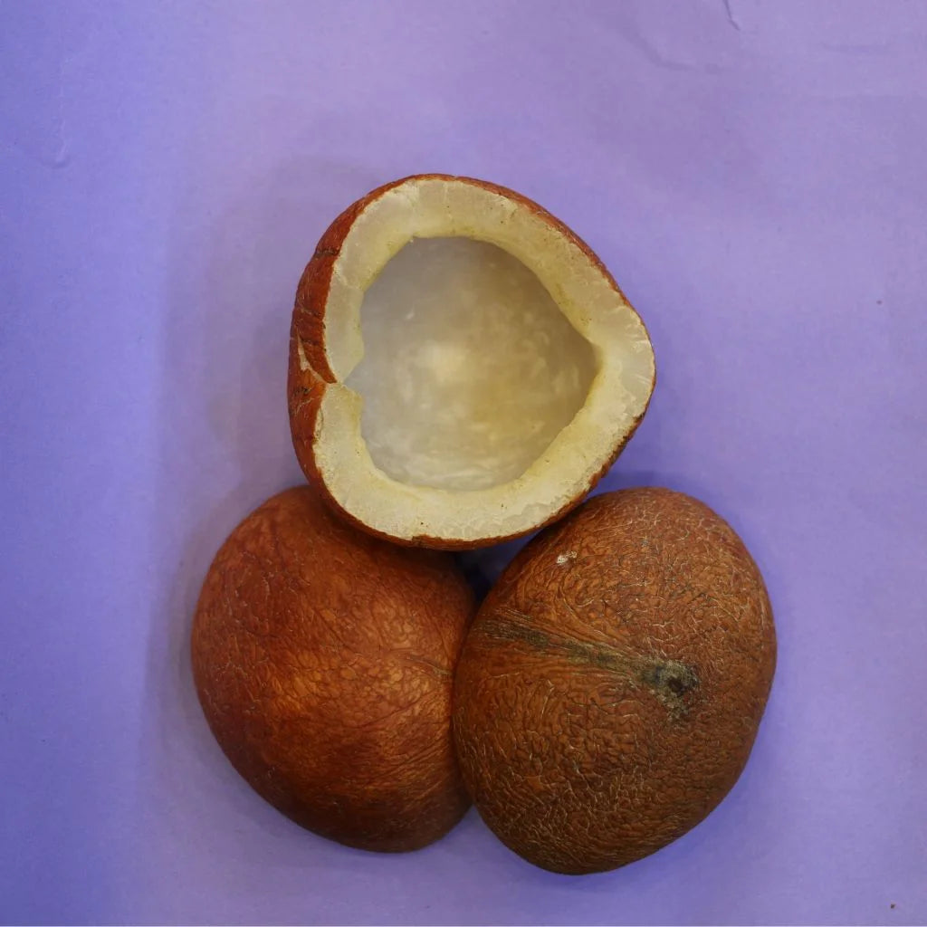 Coconut sabat (Nariyal)