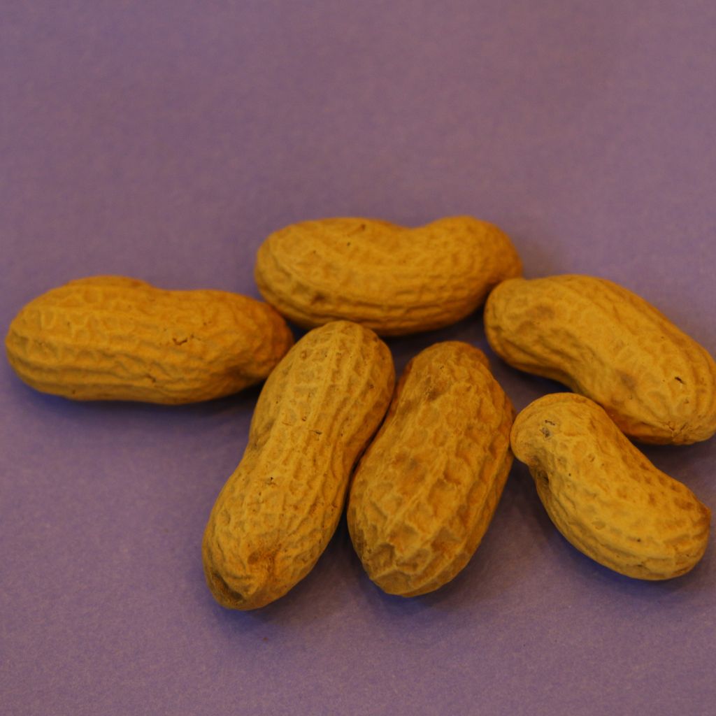 Parachinar Mongpali (peanuts)